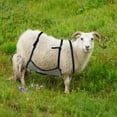 thumbnail image 5 of Goat Anti-Breeding Apron Skirt - Adjustable Livestock Mating Control Skirt for Goats & Sheep, Wear-Resistant Animal Breeding Apron with Secure Straps, Farm Animal Supplies (64X36cm), 5 of 5