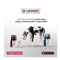 thumbnail image 3 of Croquetas Para Perro Bupper Puppy Small Mini De 8 Kg., 3 of 3