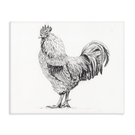 Stupell Industries Rustic Lodge Rooster in Charcoal Canvas Art, 20 x 16, by Leah Noel Art