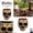 A001- Gold, variant on Halloween Decorations, Gothic Halloween Decor, Succulent Planter, Indoor Plant Pot, 4.5X4 Inch 1Pc Skull-Shaped Plant Pot for Succulent Plants, Desktop and Shelf Display for