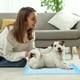thumbnail image 5 of Fiudx Almohadilla Absorbente para Orina, Núcleo Absorbente de 6 Capas, Diseño a Prueba de Fugas, Tecnología de Secado Rápido, Ideal para El Entrenamiento de Mascotas para Ir Al Baño, Apta para Perros, 5 of 5
