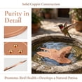 thumbnail image 4 of Copper Bird Bath Cleaner Disc, Durable Copper Material, Easy to Use, Chemical-Free, Suitable for All Bird Baths, Long-Lasting Water Treatment Accessory, 4 of 8