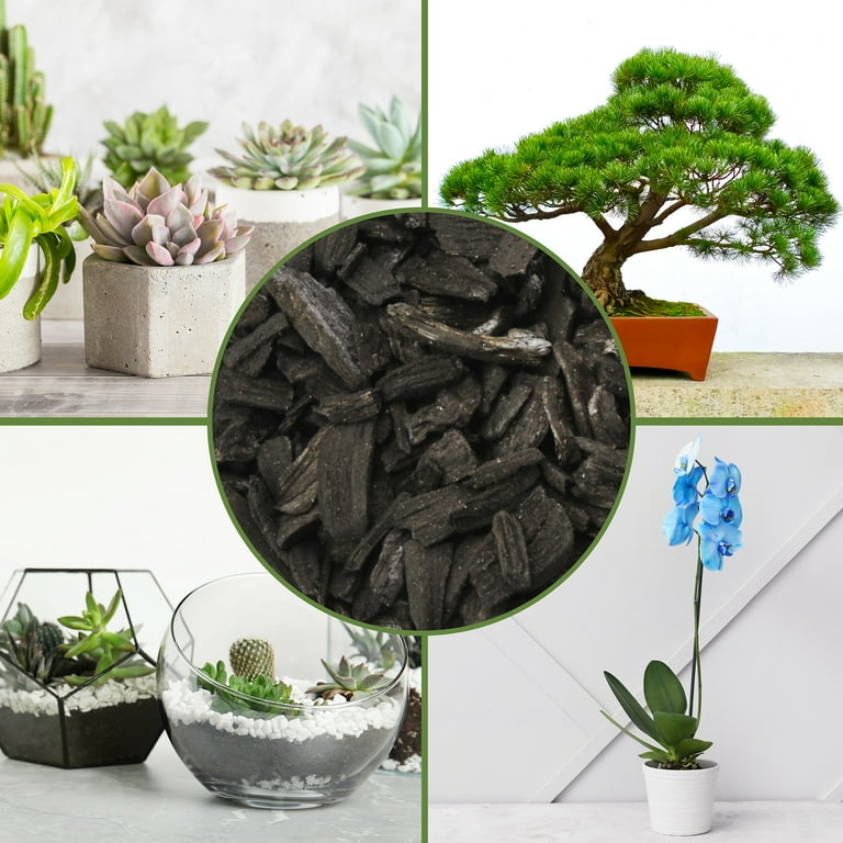 Soil Sunrise Horticultural Charcoal, Indoor Plants, Orchids
