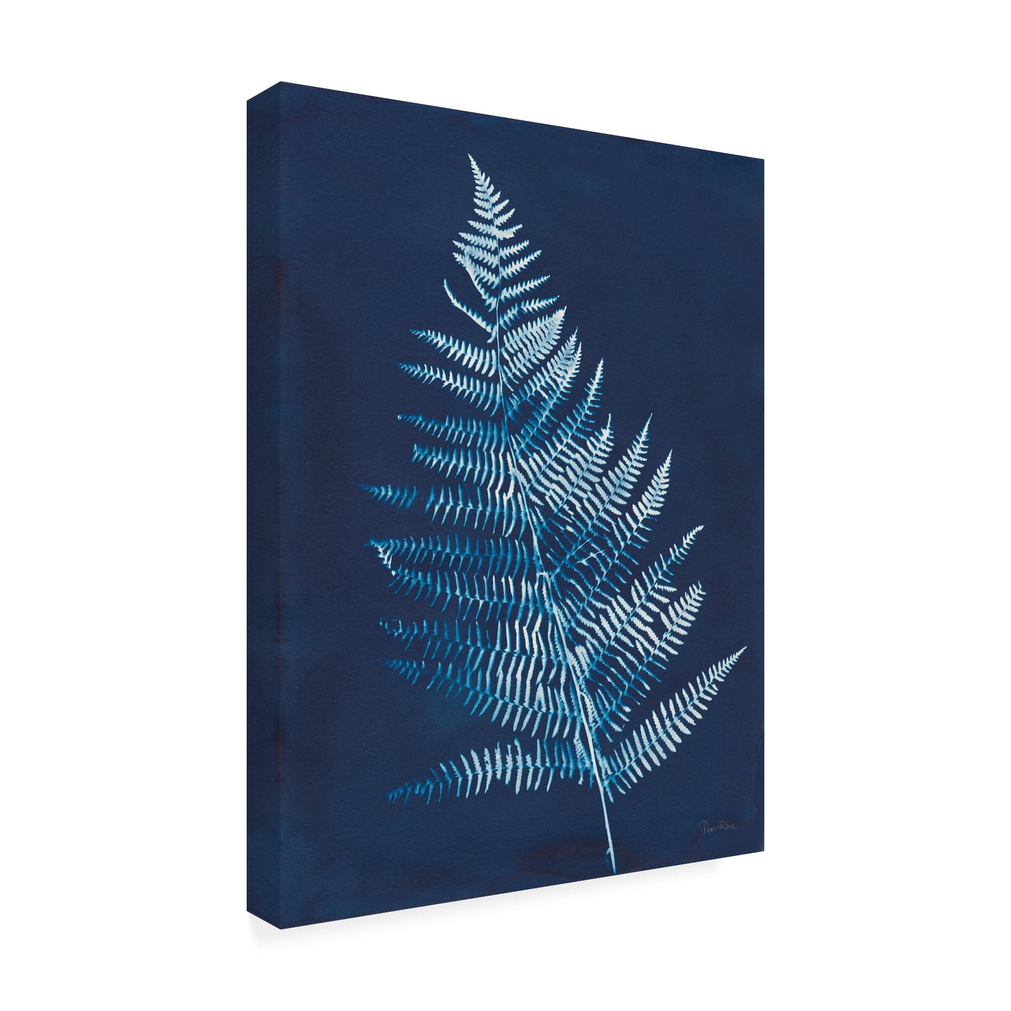 Trademark Fine Art 'Nature By The Lake - Ferns VI' Canvas Art by Piper Rhue
