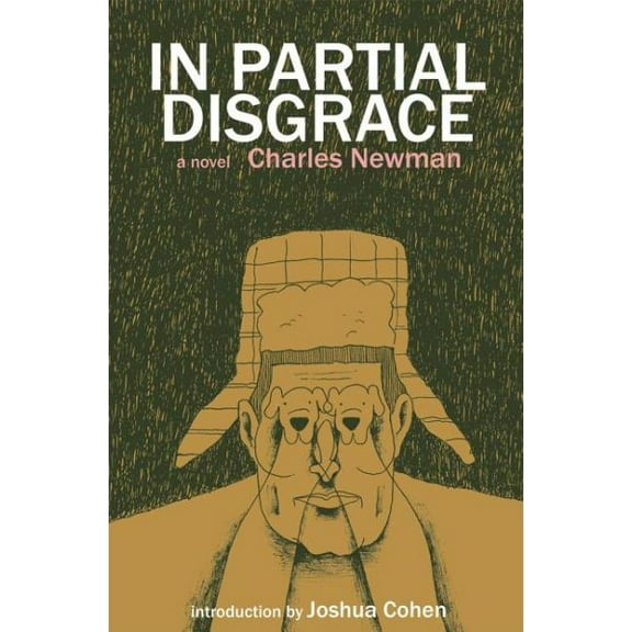 American Literature: In Partial Disgrace (Paperback)