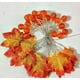 thumbnail image 3 of Guirnalda de otoño XianweiShao 3 m 30 luces de hadas LED decoración de Navidad Halloween acción de gracias decoración de pared, 3 of 5
