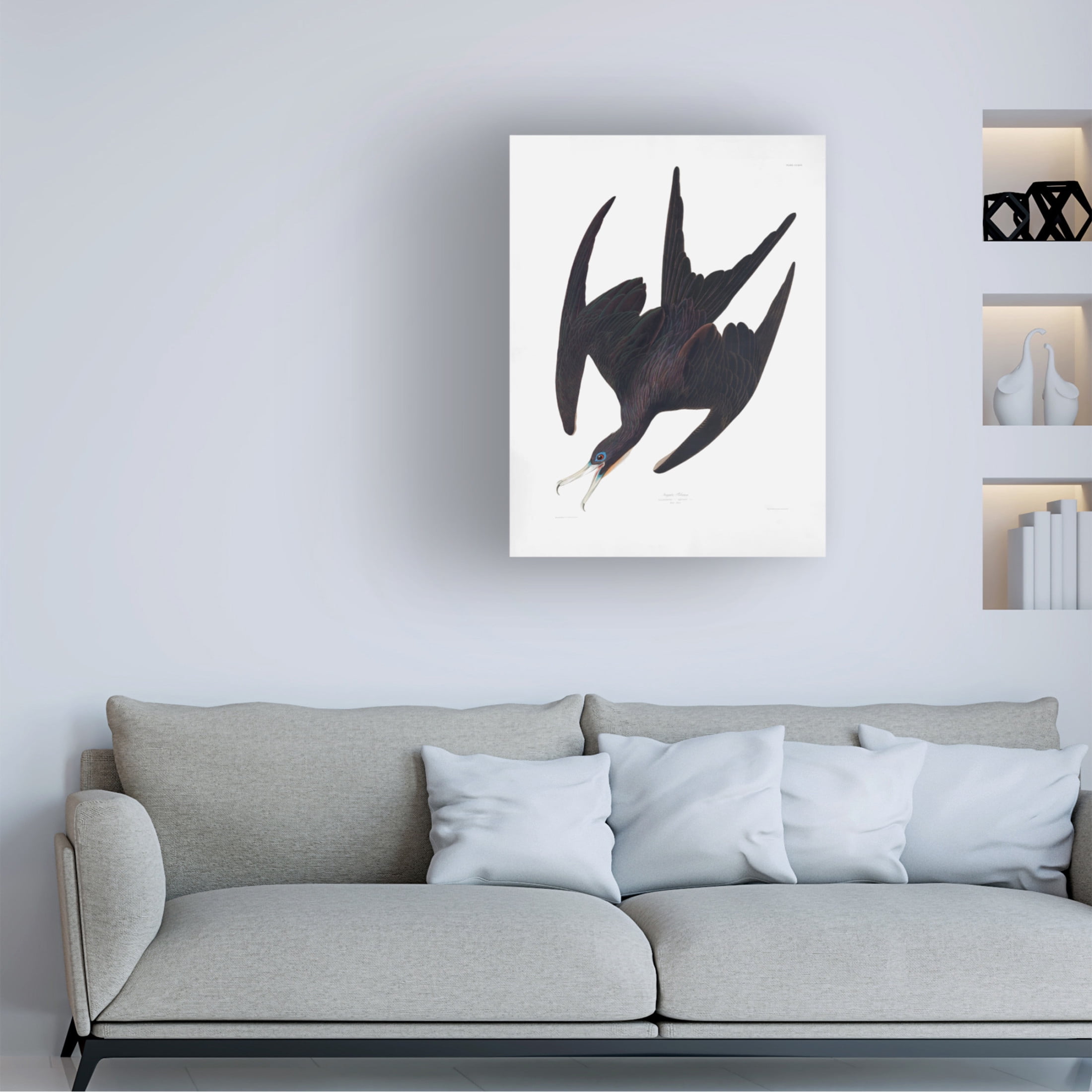 Trademark Fine Art Pictufy Frigate Pelican From Birds of America 1827 Canvas Wall Art