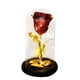 thumbnail image 2 of Fiudx Rosa Romántica con Cubierta de Vidrio, Decoración Del Hogar con Luz Led, Vidrio de Borosilicato Alto, Base de Madera, Elegante Detalle de Mesa, Regalo de San Valentín, Tamaño 9 X 9 X 21,5 Cm, 2 of 2