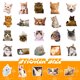 thumbnail image 3 of 50 pegatinas para gatos Sincero pegatinas de graffiti para gatos lindos, 3 of 5