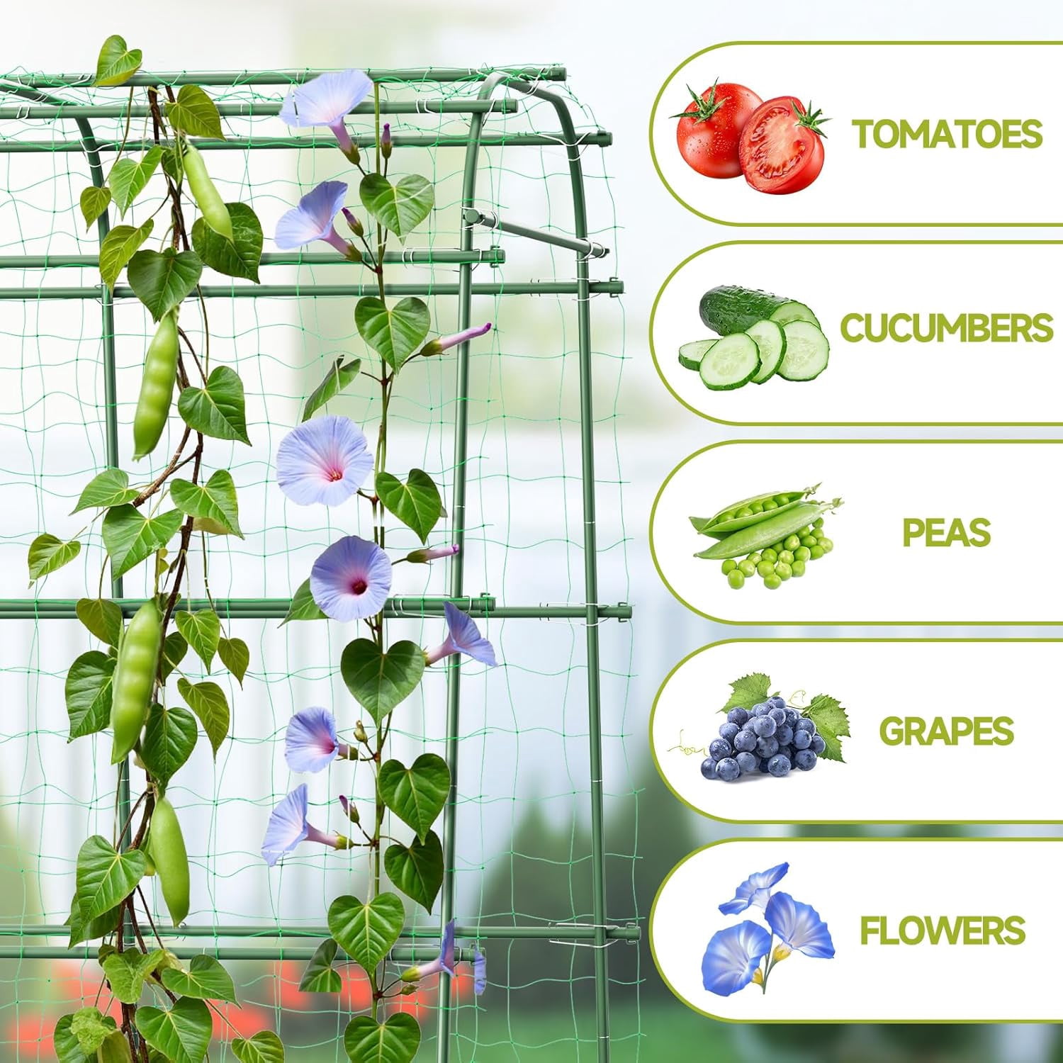 Garden Arch Trellis for Climbing Plants, 6.3ft Tall Heavy Duty Metal Cucumber Trellis, Rustproof Plant Support Tunnel for Tomato, Grape, Bean, Raised Bed and Vegetable Gardens, Green