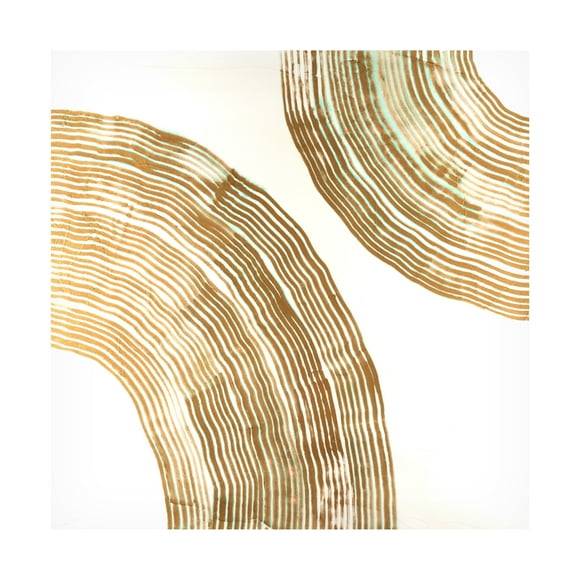 Canvas Wall Art - Vanna Lam 'Sisal II' Wall Art for Living Room, Bedroom, or Office Décor by Trademark Fine Art - 14 x 14 Inches