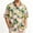 K1, variant on Vmvidoty Shirt for Men Summer Casual Beach Button Down Short Sleeve Printed Tropical Vacation Shirts K1 M