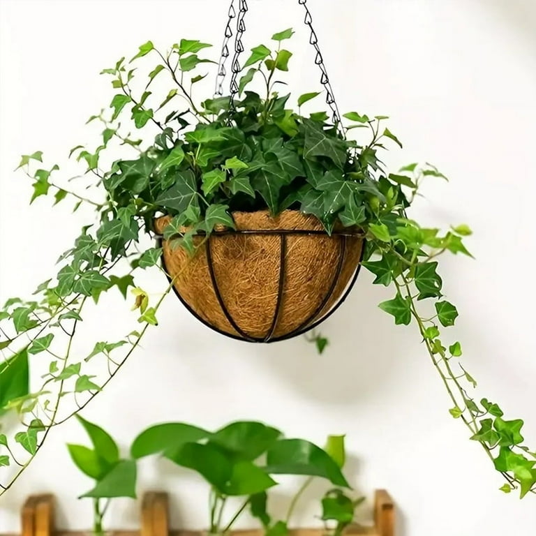 indoor plants purchase Pre-Pack #4