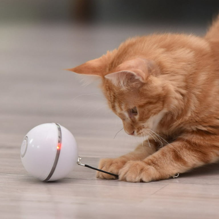 Interactive Cat Toys Ball Rechargeable Smart Automatic Dog Toys