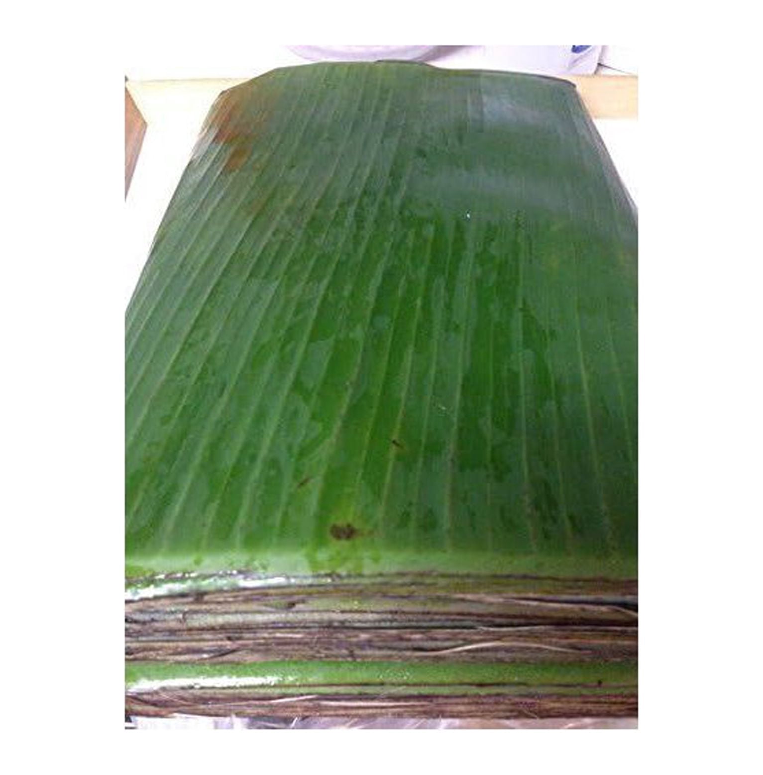 5 pounds Banana leaves - use for cooking - m139