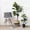 Black and Jute, variant on RibRave Jute Rope Plant Basket Small Woven Storage Baskets for Up to 7" Planter, 8" x 8" Decorative Plant Pot Cover Woven Planter Basket Laundry Baskets with Handles Modern Home Décor