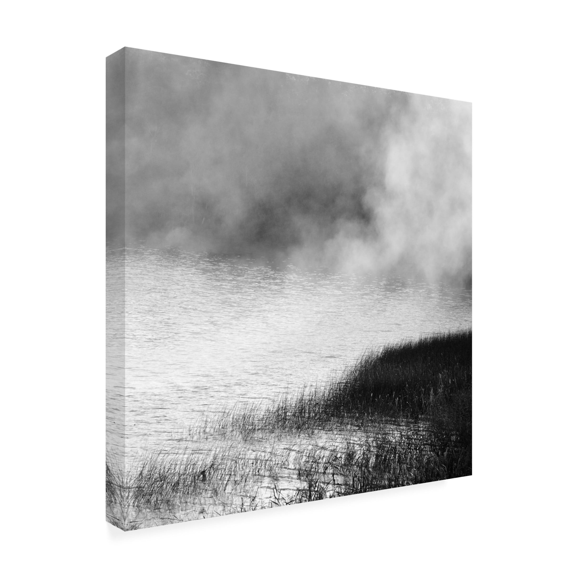 Trademark Fine Art Poul-Erik Riis Lake In Fog 2021 Canvas Wall Art