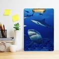 thumbnail image 6 of Coolnut Shark Clipboard, Acrylic Standard A4 Letter Size Clip Board with Low Profile Clip for Office, Classroom, Doctor, Nurse and Teacher, 12.5"x9", 6 of 7