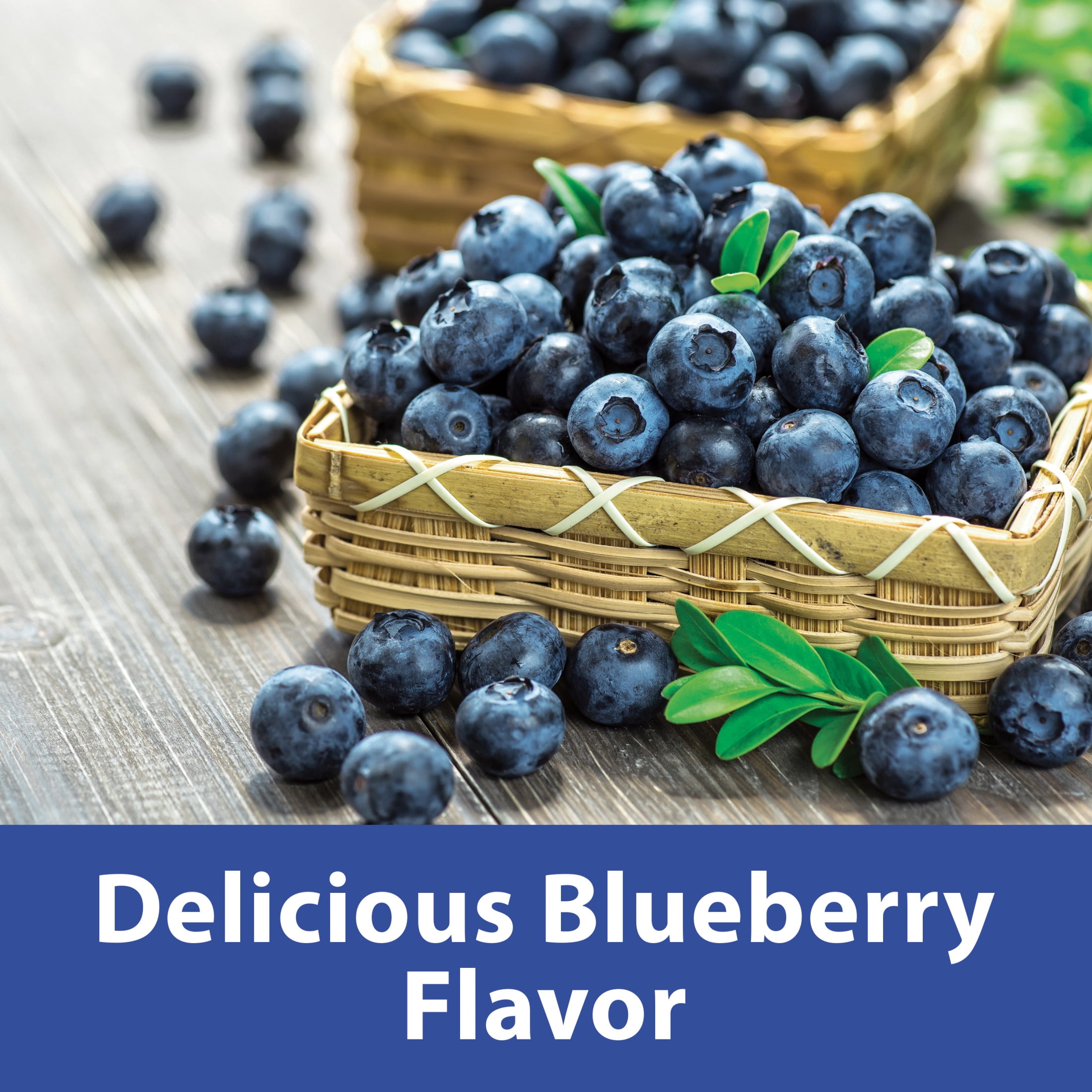 Kaytee Forti Diet Yo Dips Avian Sunflower Blueberry 2.5 oz.