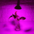 thumbnail image 4 of LED Grow Light Bulb, Full Spectrum E27 High Power Panel 300 LED Hydroponic Greenhouse Vegetables Potted Flowering Plant for Indoor Grow Light Bulb, 4 of 5