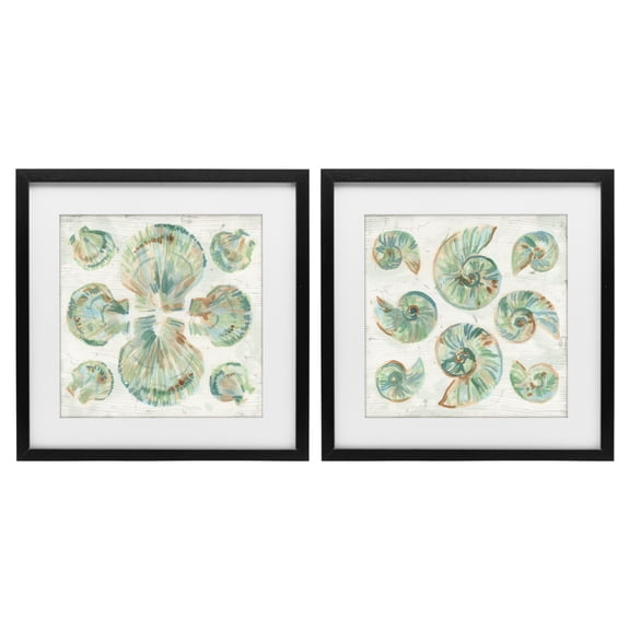 Stupell Industries Saltwashed Seashells Pattern 2 Piece Black Framed Print Under Glass Set, design by June Erica Vess