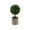 Multicolor A, variant on Yonrjhukm Artificial Green Plant Potted for Home Office Hotel Lobby Decoration, Realistic Simulation Indoor Decorative Plants, Worry-Free Maintenance, Long-Lasting Beauty