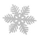 thumbnail image 1 of onlyliua Ofertas Del Prime Day de Hoy 2024 48 Piezas de Copos, Decoradores de Navideña, Decoraciones de Navidad, Programas Colegiados de Eventos., 1 of 1