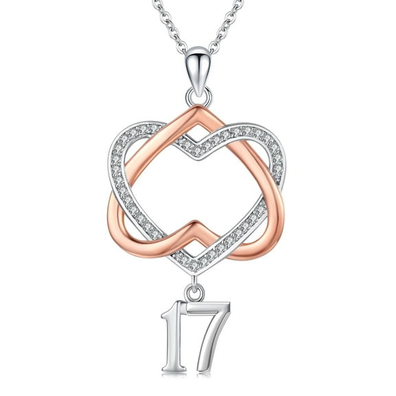 Midir&Etain 17 Year Old Birthday Gifts / 17th Birthday Gifts for Daughter 925 Sterling Silver Heart Pendant Necklace for Women Friend Sister Mothers Day Christmas Anniversary Jewelry
