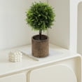 thumbnail image 4 of Artificial Green Plant Potted | Realistic Plastic Simulation Plant | 9.45x3.03 in Home Office Hotel Decor | Multicolor Lifelike Faux Greenery | No Maintenance Indoor Decoration, 4 of 6