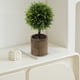 thumbnail image 4 of Artificial Green Plants Simulation Potted Home Office Hotel Lobby Decoration Green Plants Home Decoration Artificial Plants, 4 of 6