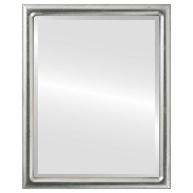 Pasadena Framed Mirror - Silver Leaf with Black Antique