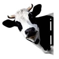 thumbnail image 5 of deevoka Animal Heads Art Sculpture Collectible Art Statue Rustic Wall Sculpture for Wall Cow, 5 of 9