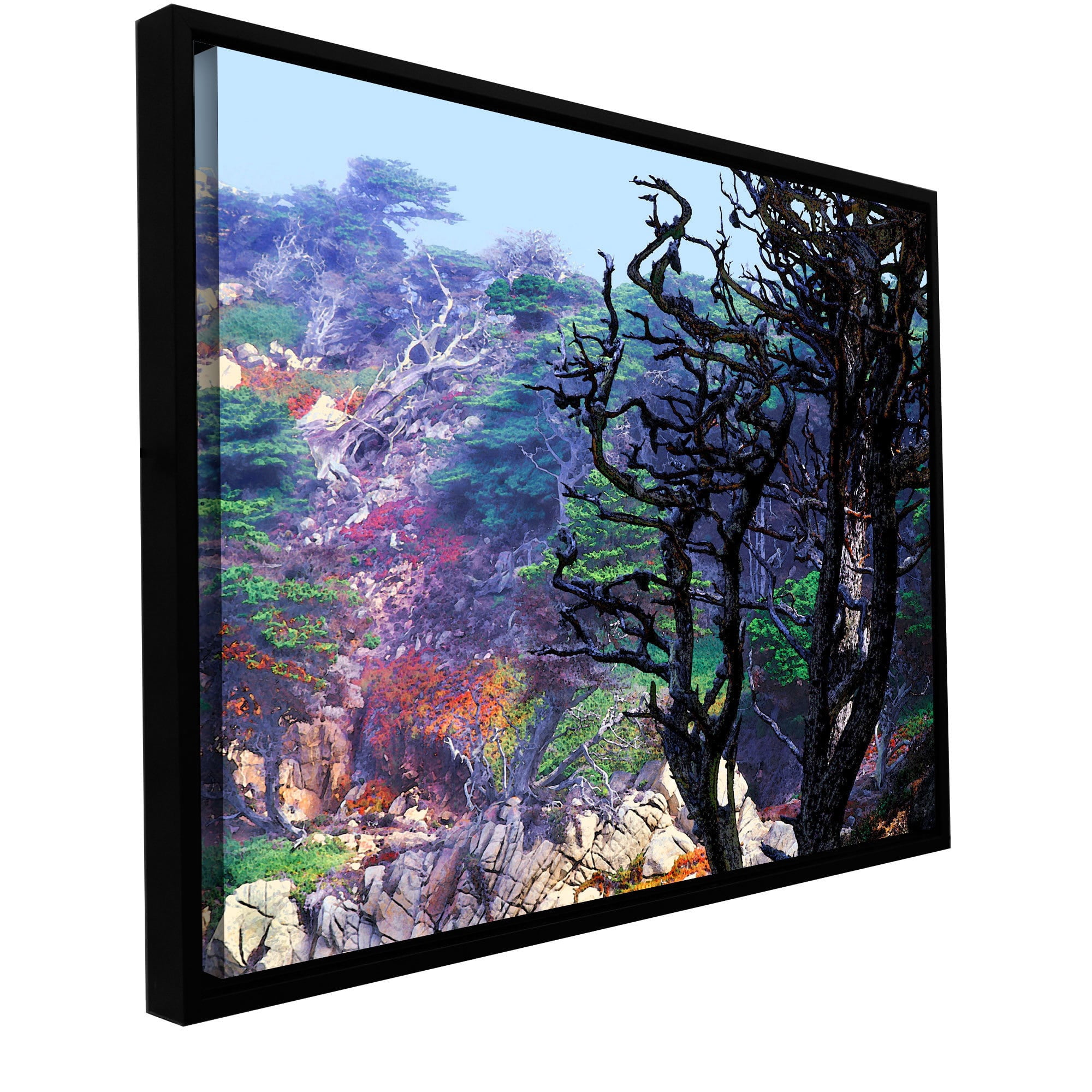 ArtWall Dean Uhlinger "Point Lobos Morning" Floater Framed Gallery-Wrapped Canvas
