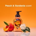 thumbnail image 3 of Softsoap Limited Edition Bali Bliss Foaming Liquid Hand Soap, Peach and Gardenia Scent, 9 fl oz, 3 of 13