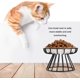 thumbnail image 4 of Raised Ceramic Cat Food Bowl Elevated Dish Anti Slip Stand Wide Shallow Whisker Friendly Black Microwave Dishwasher Safe, 4 of 4