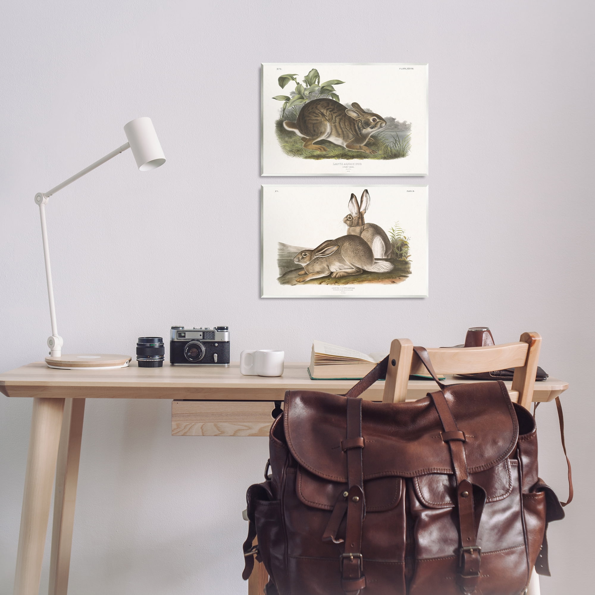 Stupell Industries Gentle Resting Cottage Rabbit Animals Painting Unframed Art Print Wall Art, 19 x 13, Set of 2