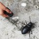 thumbnail image 5 of Juguetes interactivos para padres e hijos, control remoto inalámbrico, truco de araña, cucaracha, hormiga, simulación de insectos de marea, control remoto inalámbrico, 5 of 6