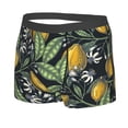 thumbnail image 2 of Naloa Hand Drawn Citrus Fruits Elegant Lemons Print Mens Underwear - Boxers for Men, Classic Briefs for Men, 2 of 9