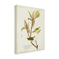 thumbnail image 2 of John James Audubon 'Kentucky Warbler' Canvas Art, 2 of 3