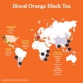 thumbnail image 2 of Té helado preparado Spindrift de naranja sanguina y té negro 355 mL x12, 2 of 7