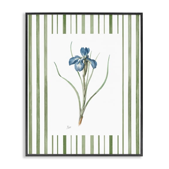 Stupell Industries Spring Iris And Stripes Black Framed Giclee Art, design by Nan