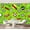 Color 2, variant on Wall Mural Peel and Stick Soccer Ball Pop Art Comic Goal Bright Green Self-Adhesive Wallpaper Removable Wall Decal Wall Sticker Home Decor for Living Room Bedroom 69"x96"