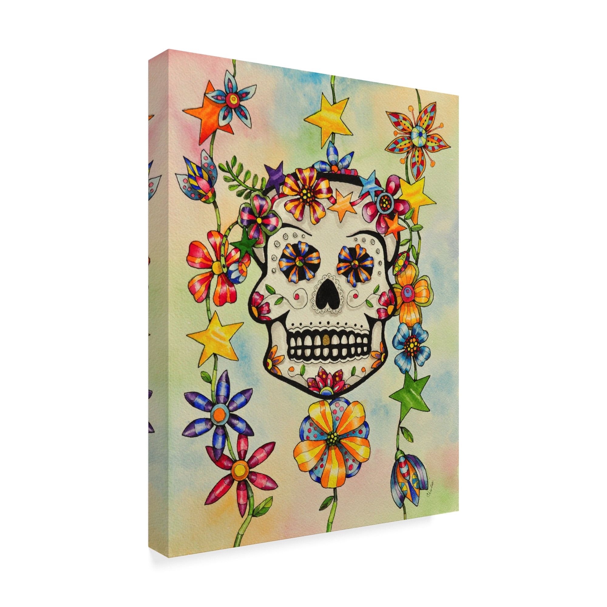 Trademark Fine Art 'Estrellas' Canvas Art by Charlsie Kelly