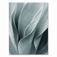 thumbnail image 1 of Pintura en lienzo de Arte de plantas de hojas de palma, Aloe botánico s e impresiones, imágenes de pared modulares para sala de estar, decoración del hogar, 1 of 4