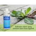 Blue Spray Marker (8 Ounces) Weed Spray Dye, Herbicide Dye