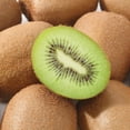 thumbnail image 2 of Female Kiwi Plants Live, Cold-Hardy Kiwi Berry Vines, Sweet Edible Well-Rooted 6-8 Inches, Fruit Trees Vines for Garden or Trellis, 2 of 6