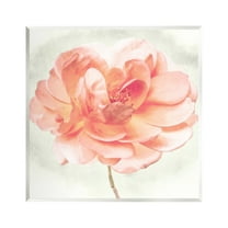 Stupell Industries Soft Pink Dahlia Botanical & Floral Painting Unframed Art Print Wall Art, 12 x 12