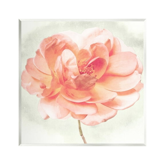 Stupell Industries Soft Pink Dahlia Botanical & Floral Painting Unframed Art Print Wall Art, 12 x 12