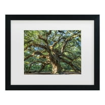 Trademark Fine Art 'Angel Oak Charleston' Canvas Art by Pierre Leclerc