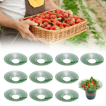 

Strawberry Support 2024 New Strawberry Supports Stand Strawberry Growing Racks Protector Keeping Strawberry Clean Strawberry Growing Frame Holder Cage For Garden Food for outside Feeders No Waste 3x